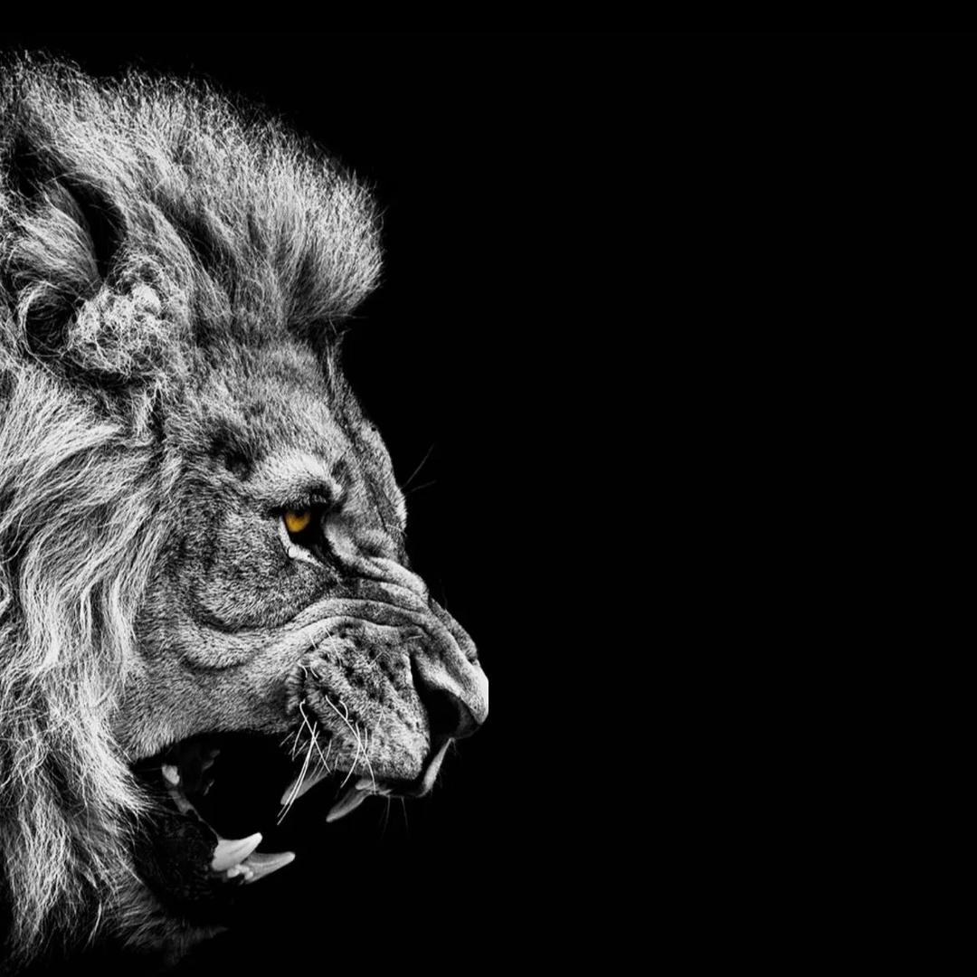 ￴ ￴ ￴ㅤㅤㅤ￴