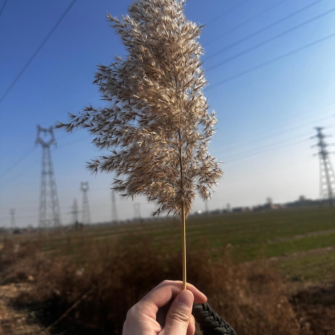 吴铜川.