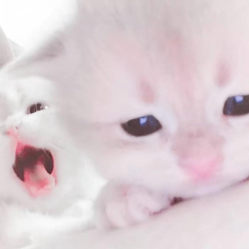过去