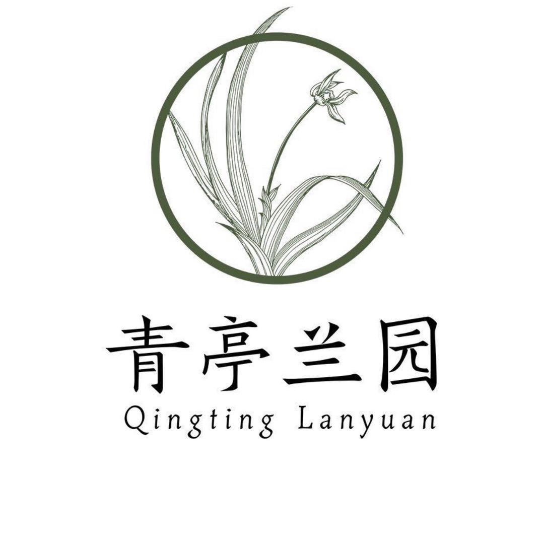 青亭兰园兰花现场直播间