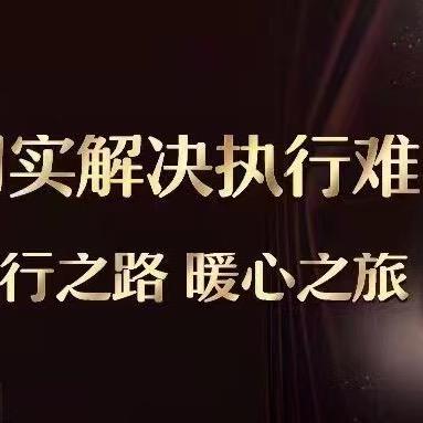 不良资产执行