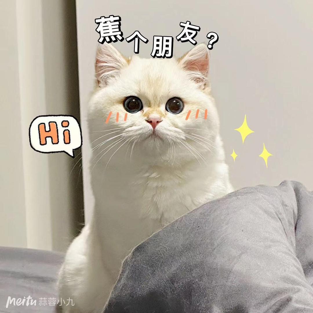 皆利日