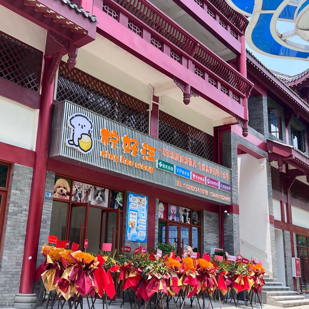 柠好汪 小王