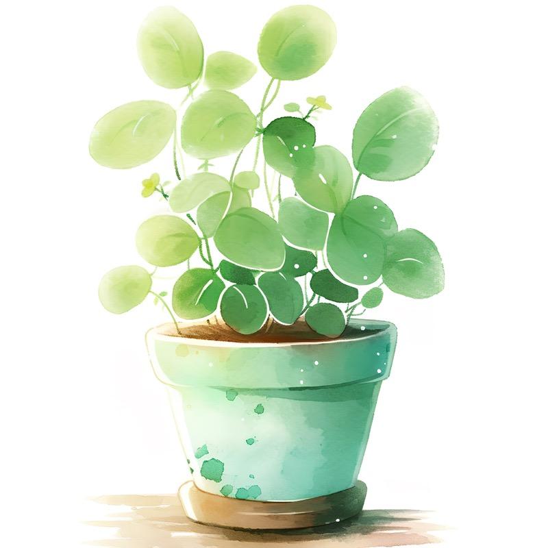 温馨小百汇