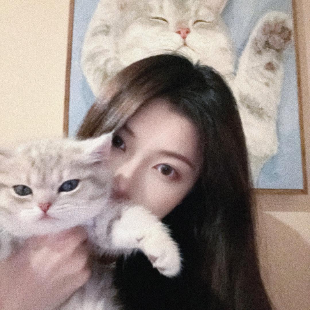 🐱王木木小猫菇🐾