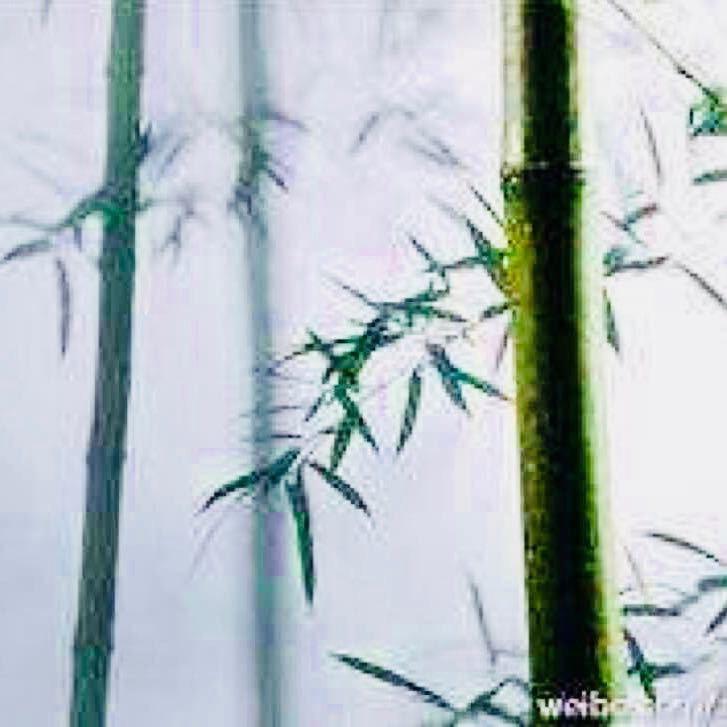 一流