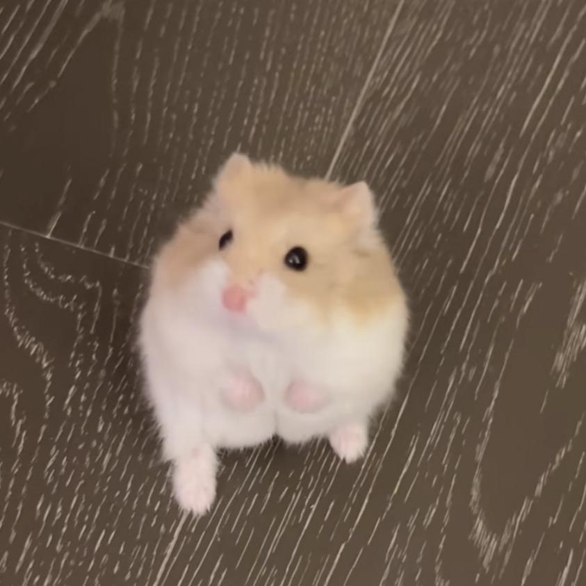 MING