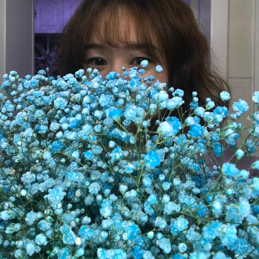 皮皮虾，我们走、