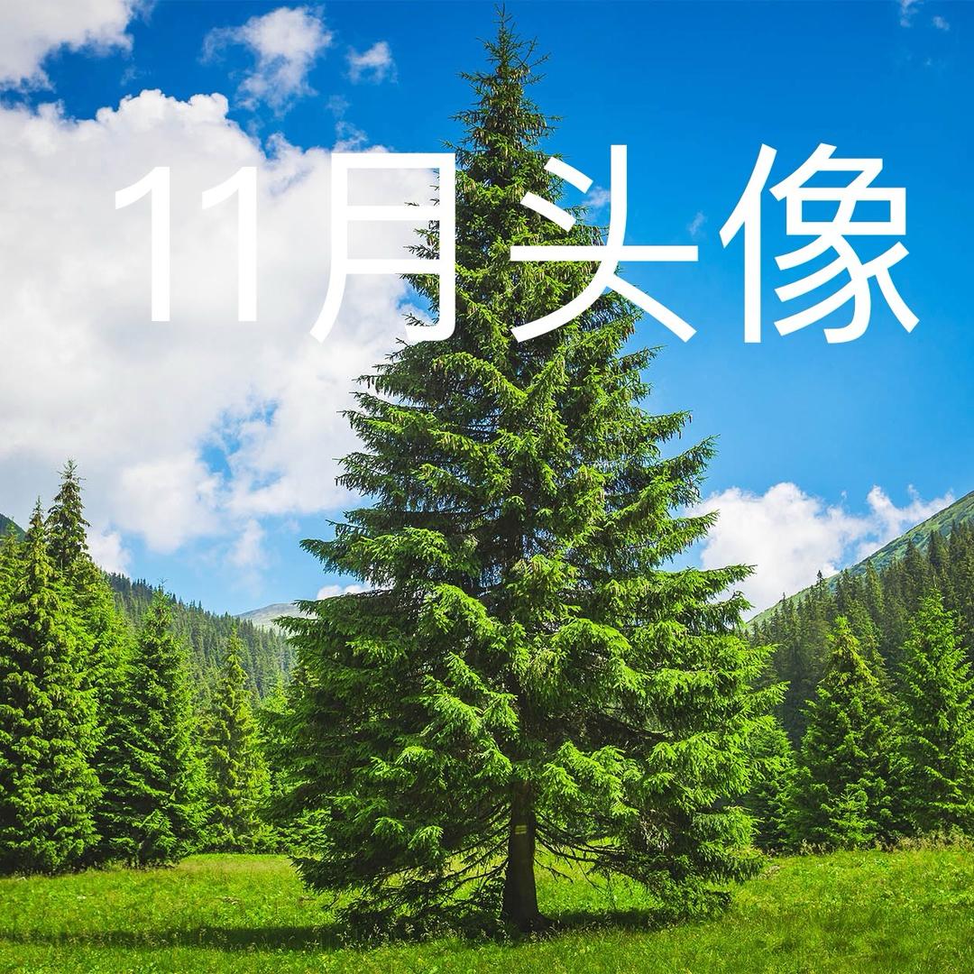 ꑪꆺꄲꌐꃶ