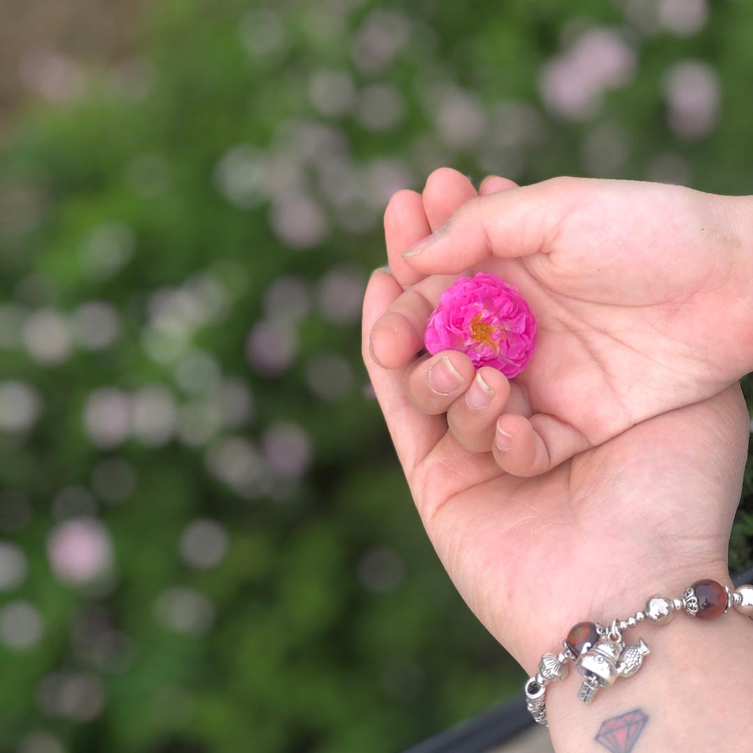 豆豆喜欢喝奶茶🧋