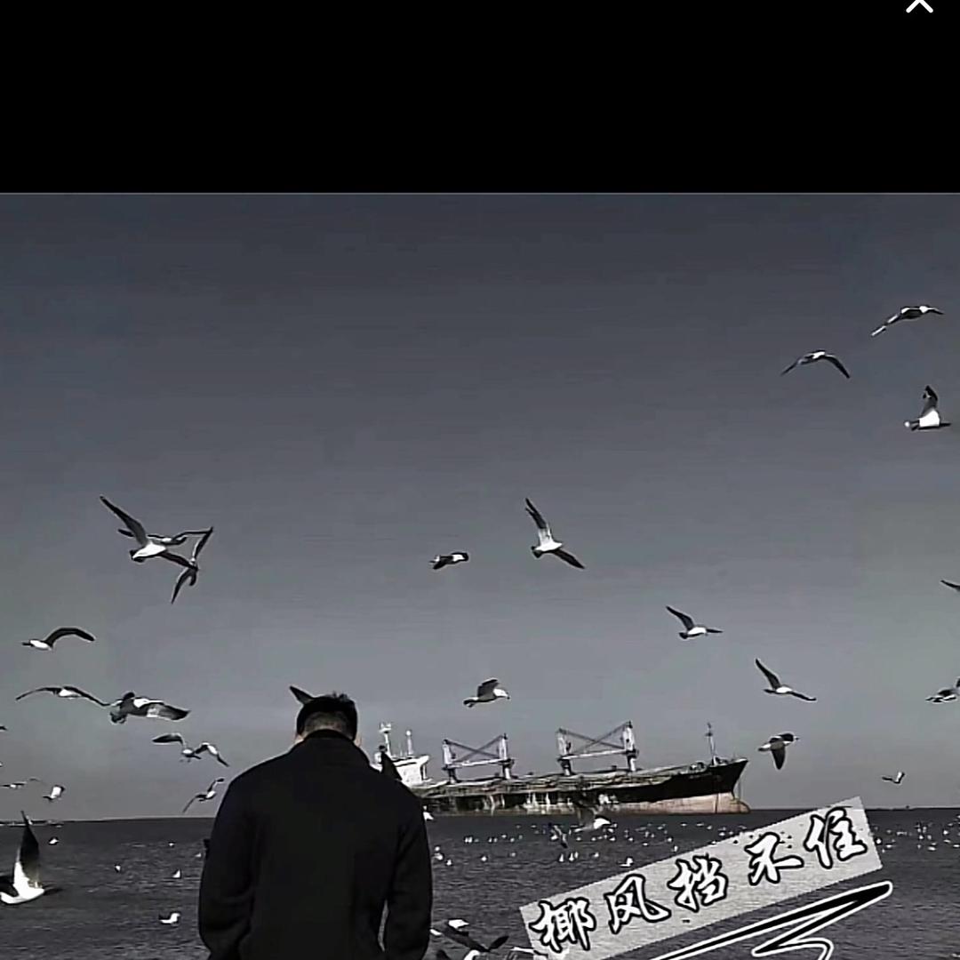 政