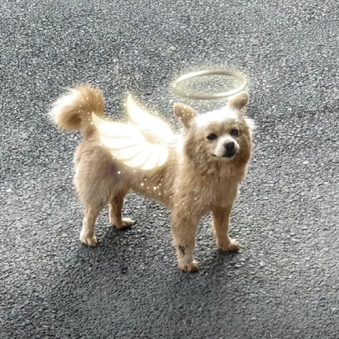 菜☜又爱玩