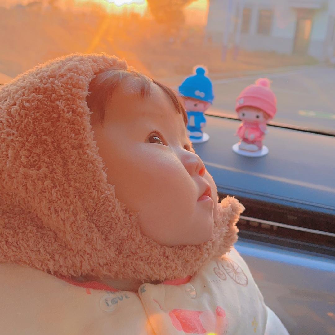 🌈🌈🌈鱼儿的后半生