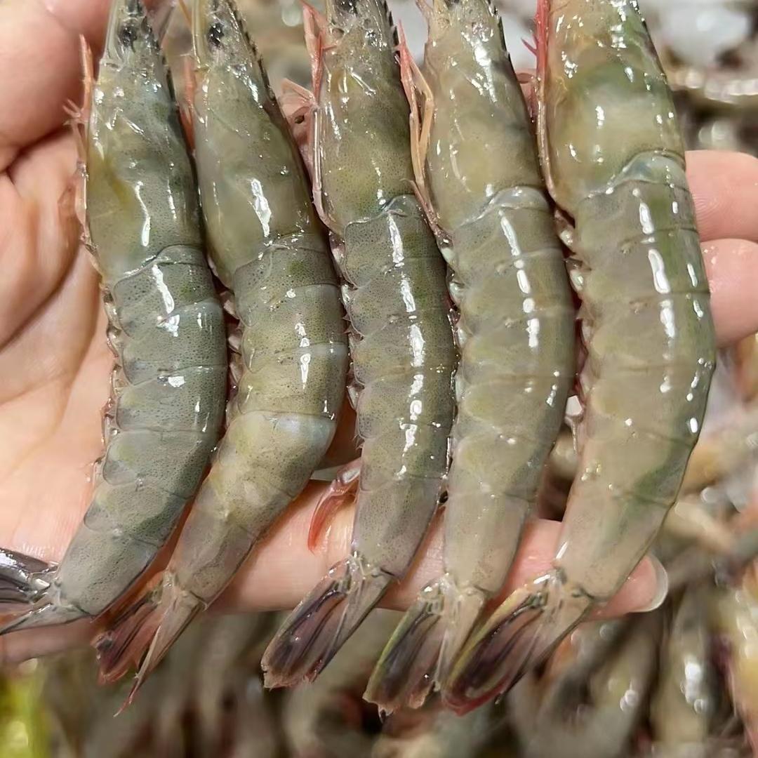 虾总优选