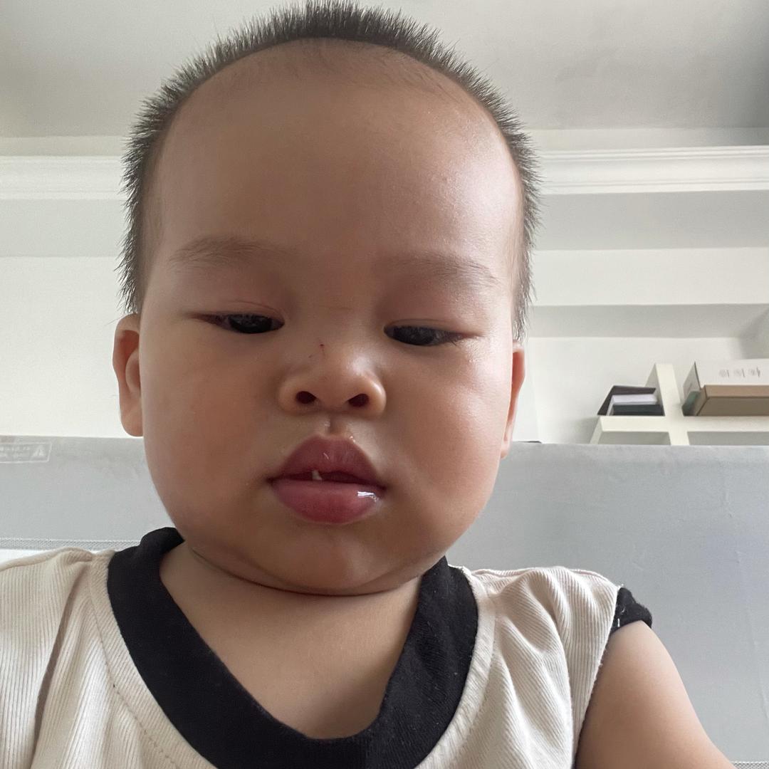 航仔航呀