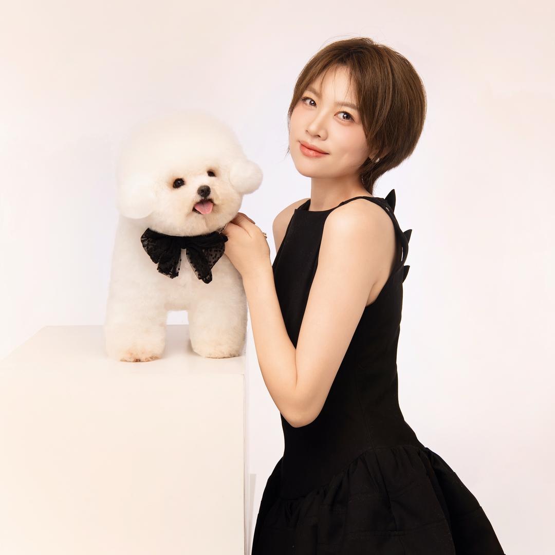 宠物美学 | 王老师🐾