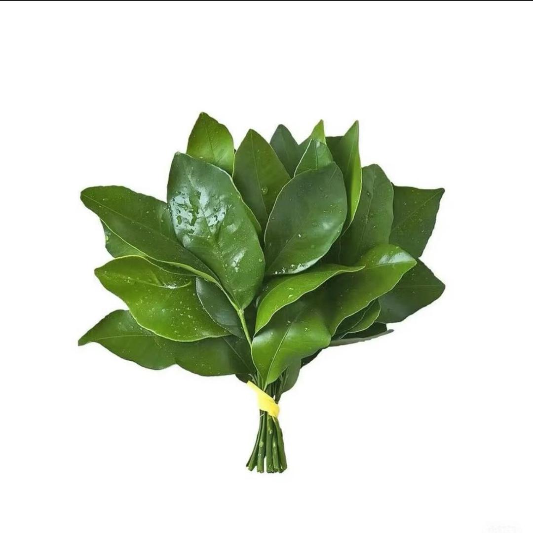 粉红辣椒