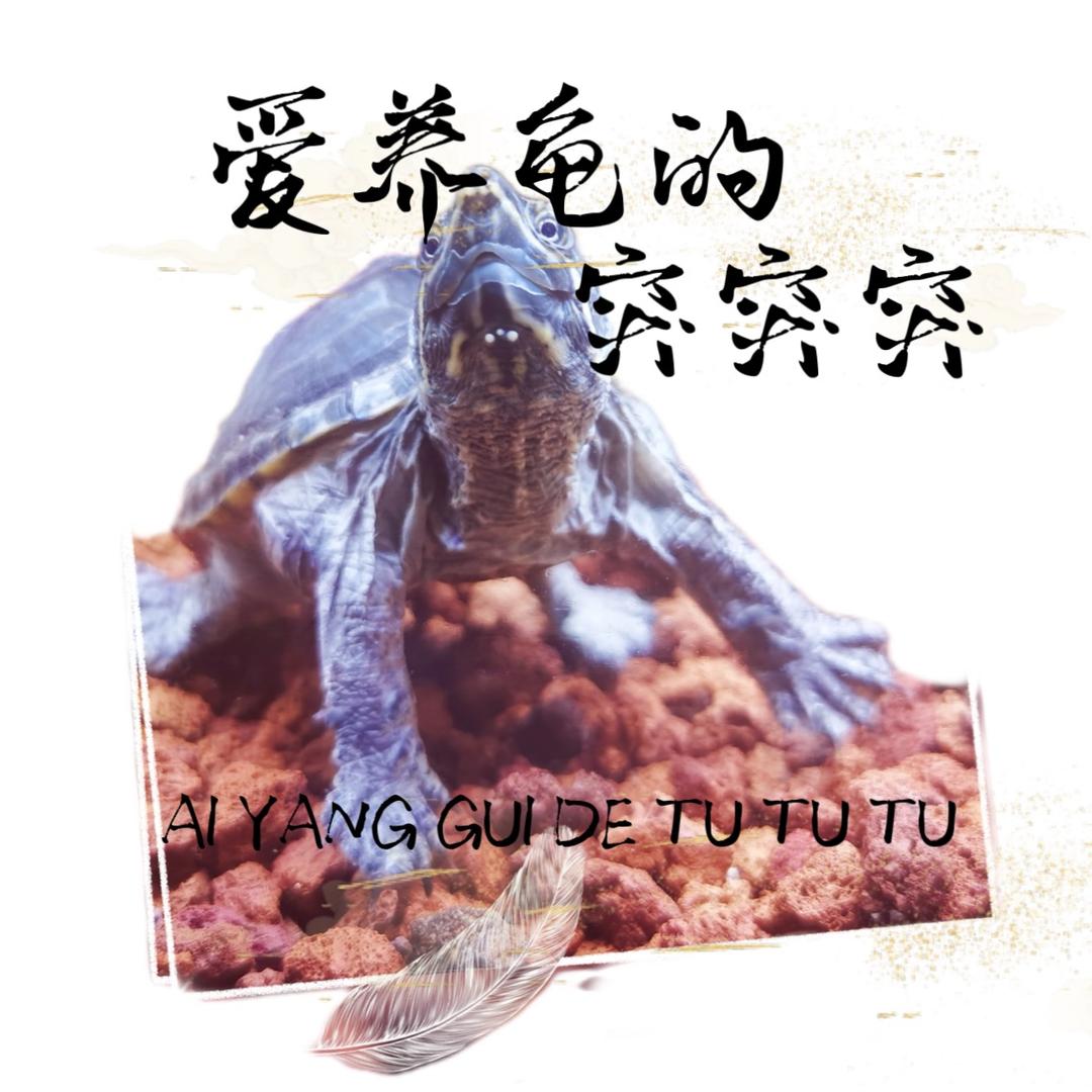 爱养龟的突突突