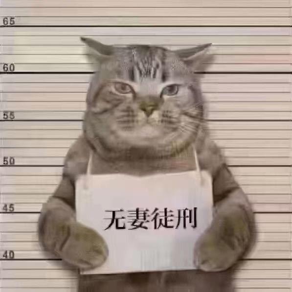 强哥手机摄影