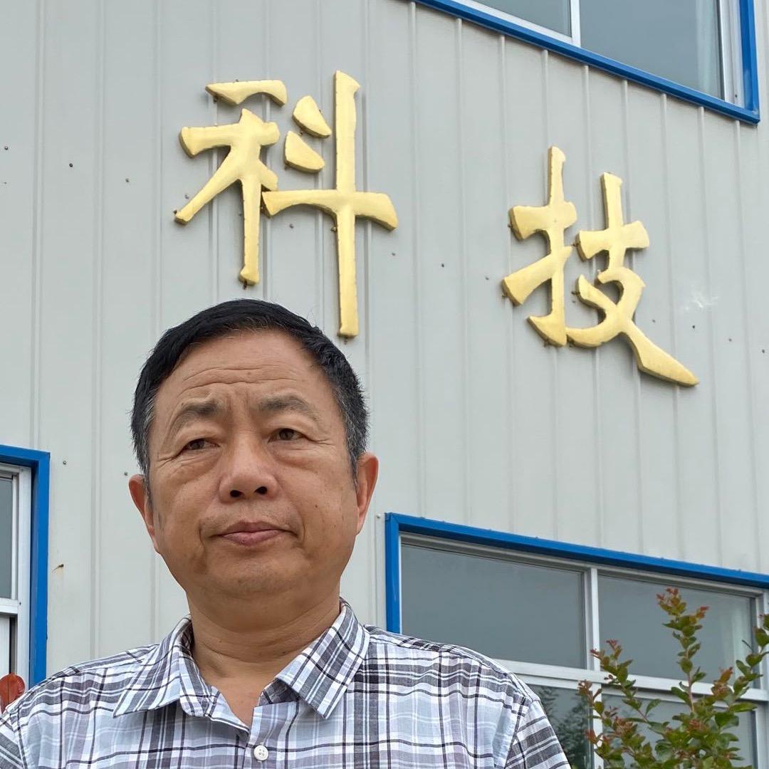 王振国汝南