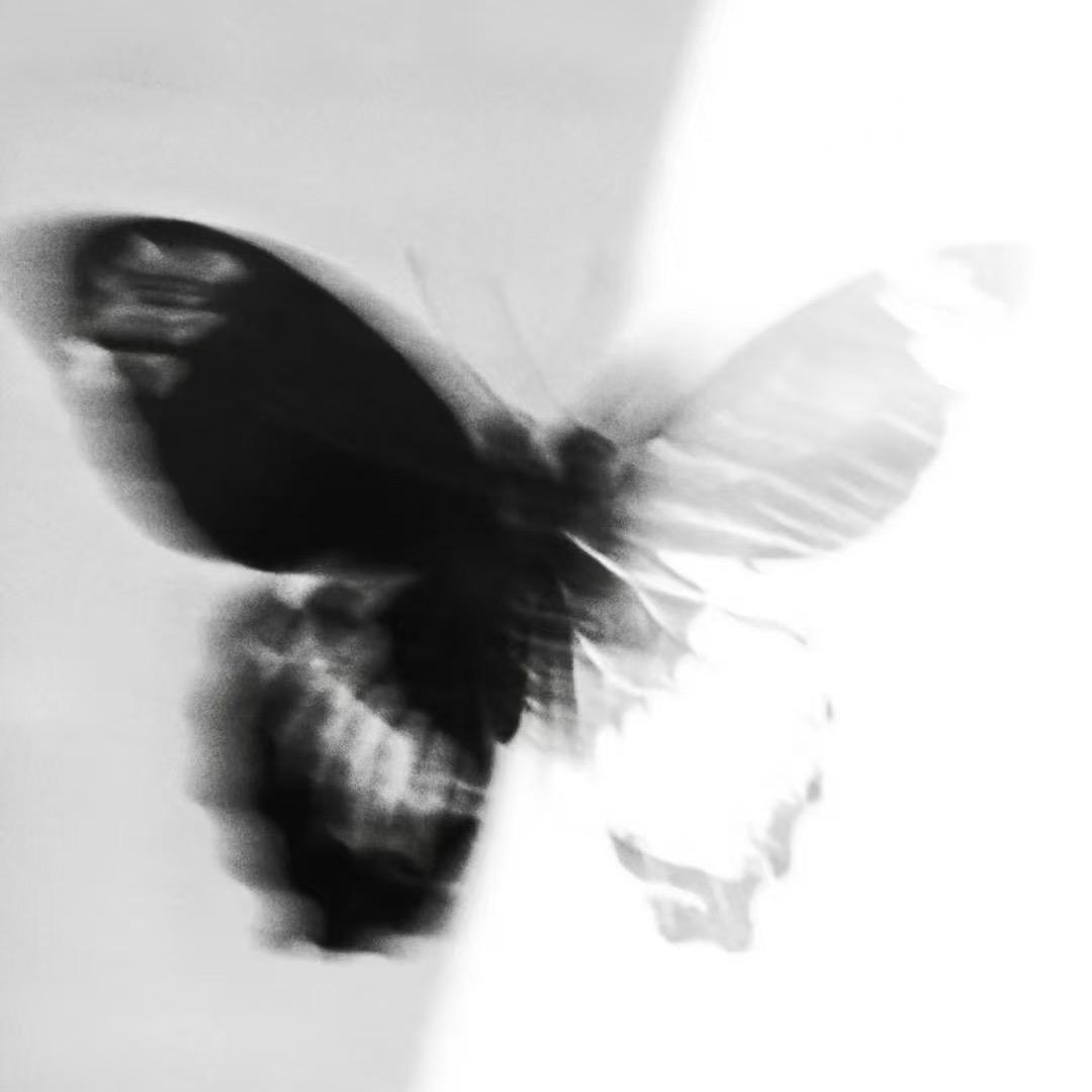 不处理。亲戚朋友，给你（天天私信）