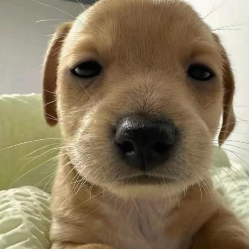奥特曼