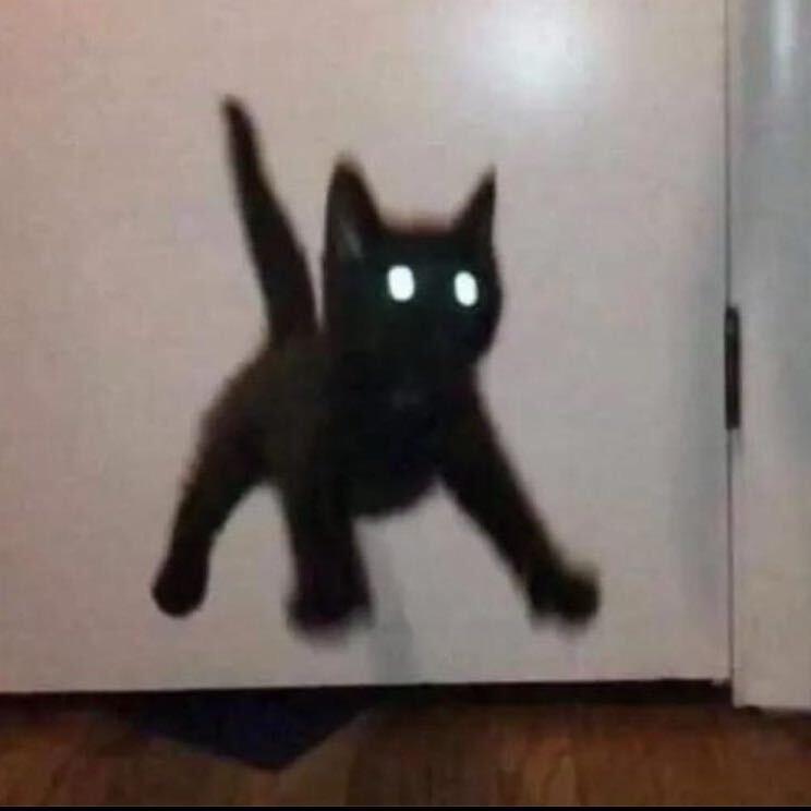 so