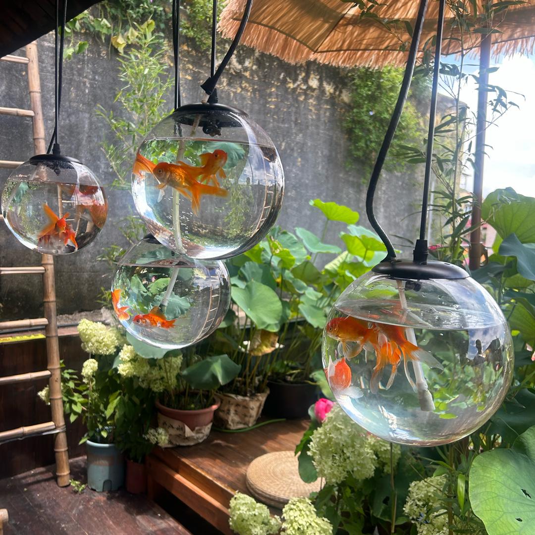 🌈晓晓