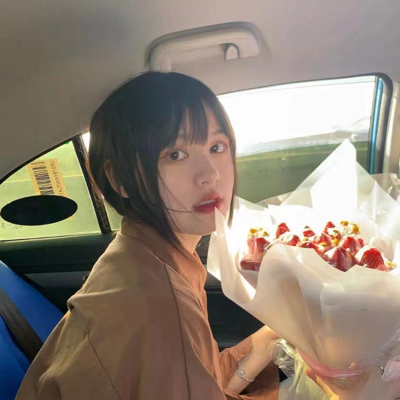 草莓潮汕向导
