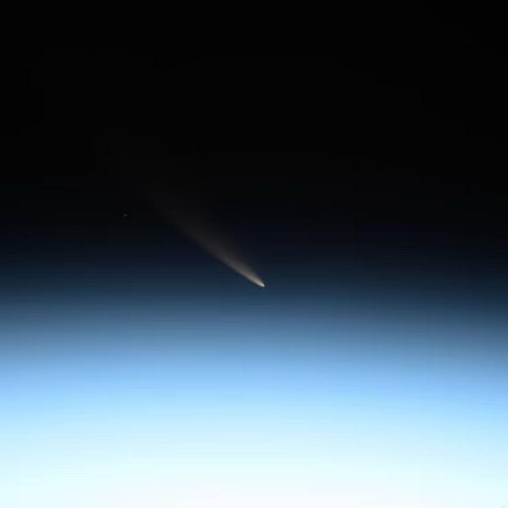 爱喝椰汁的狸花猫