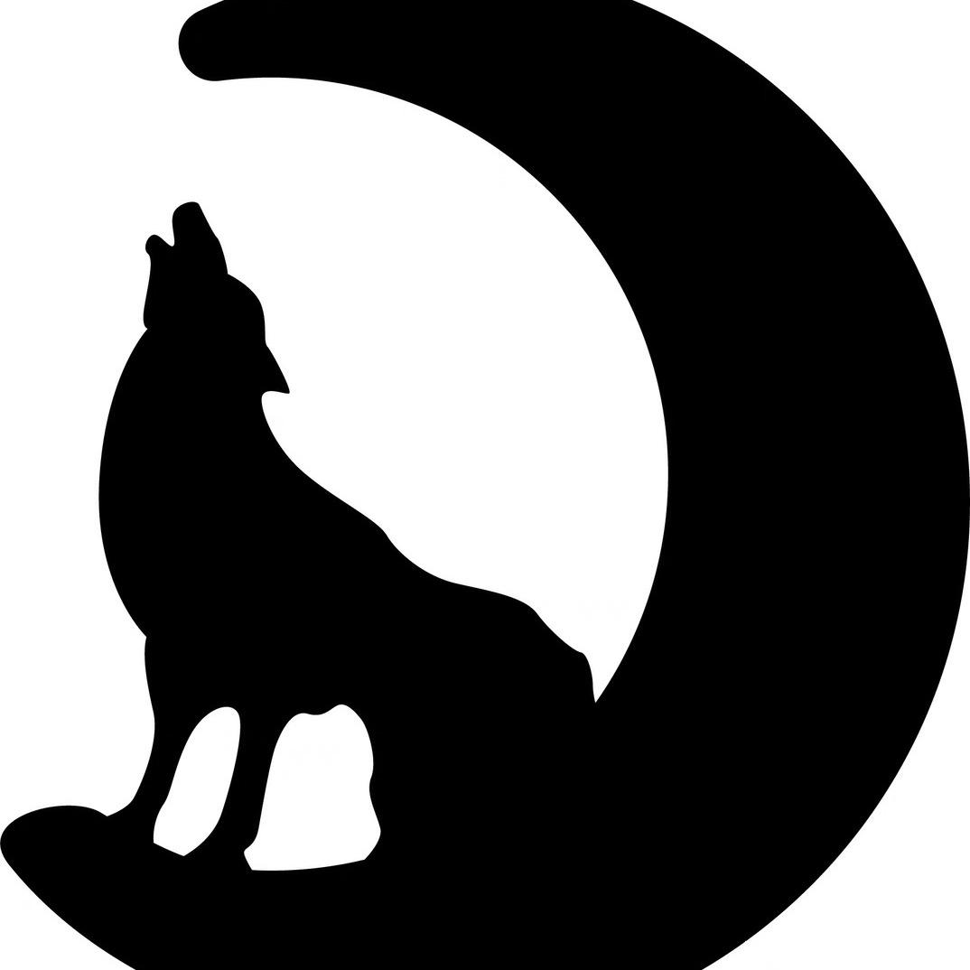 前沿多肉小花器（狼盆）