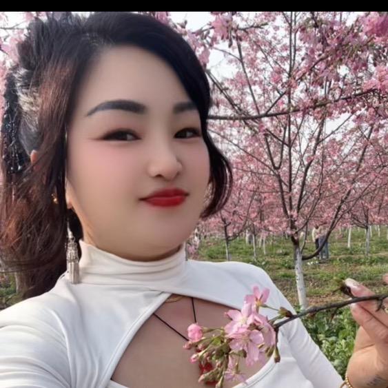 枯叶蝶32777