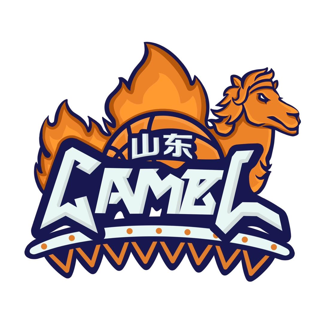 山东Camel