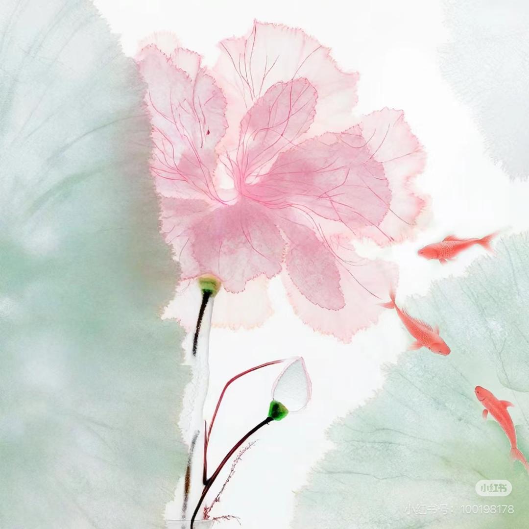 晶姐文化：壹叁壹玖