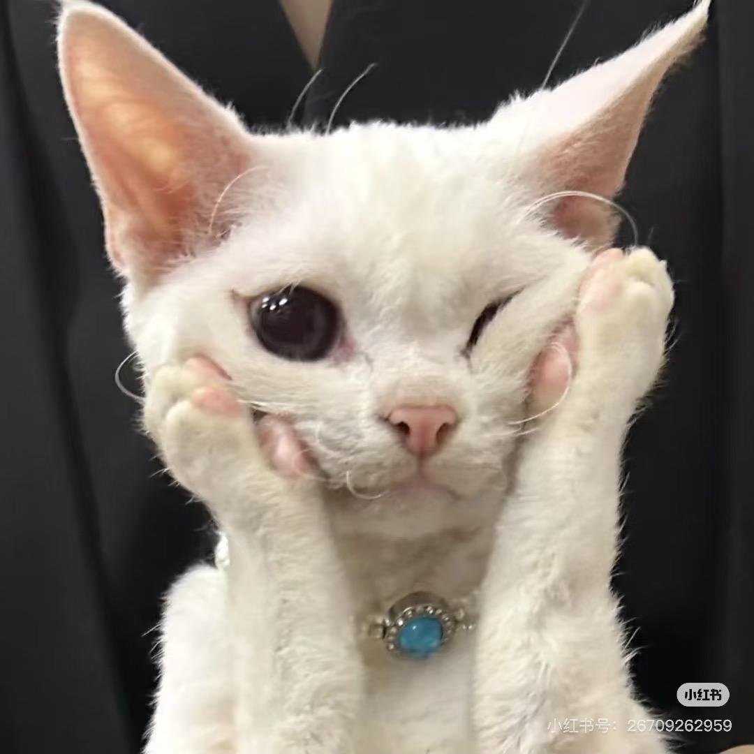 2uu
