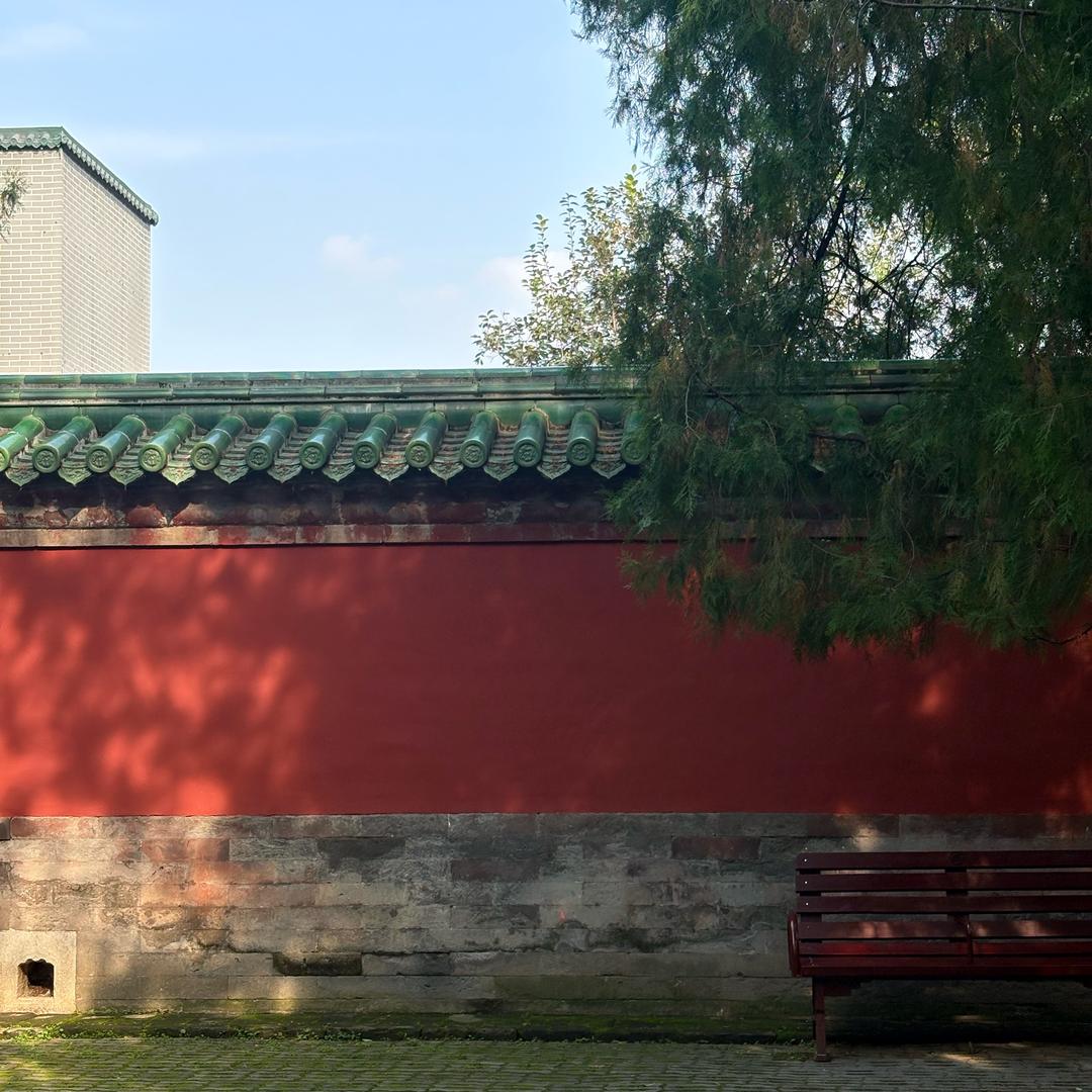 椰子椰