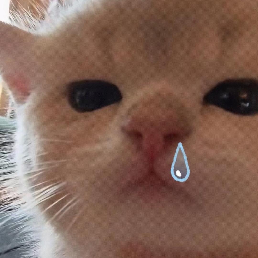 鱼鱼