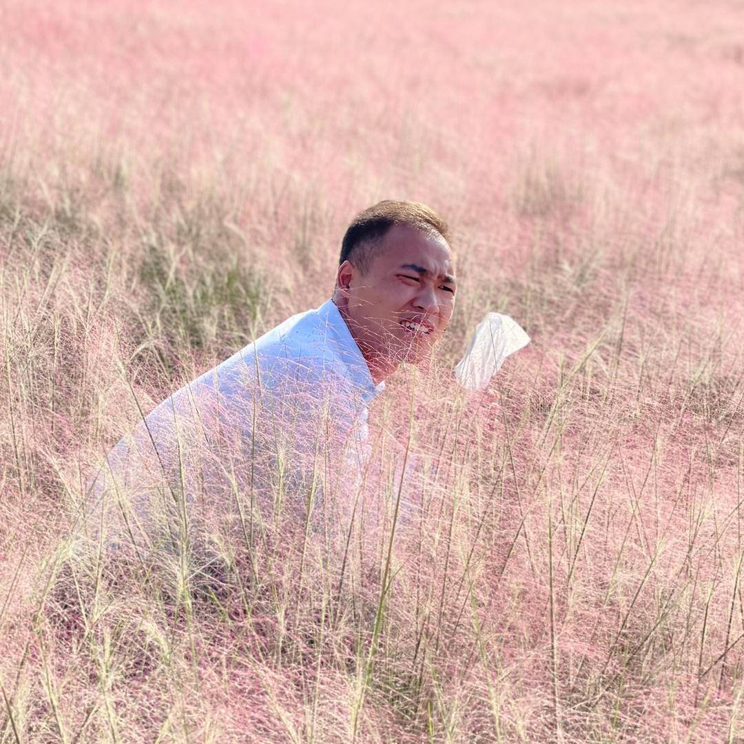 强哥的朋友圈