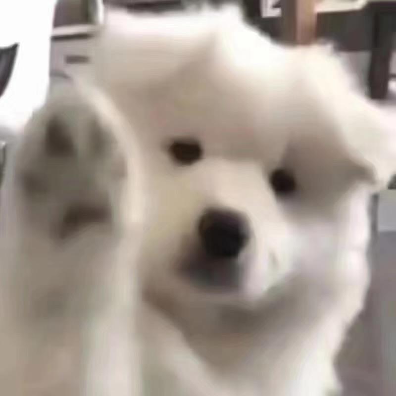 萨摩叶