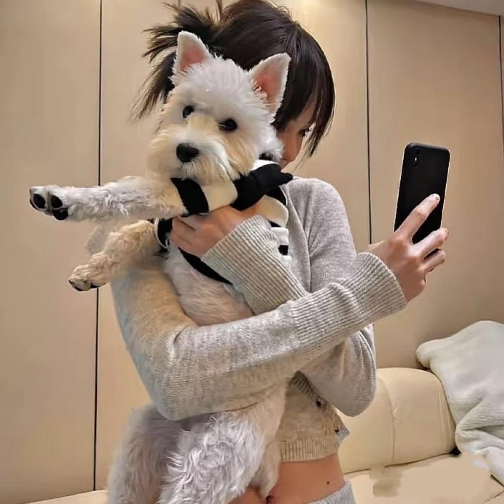 爱意随风起、
