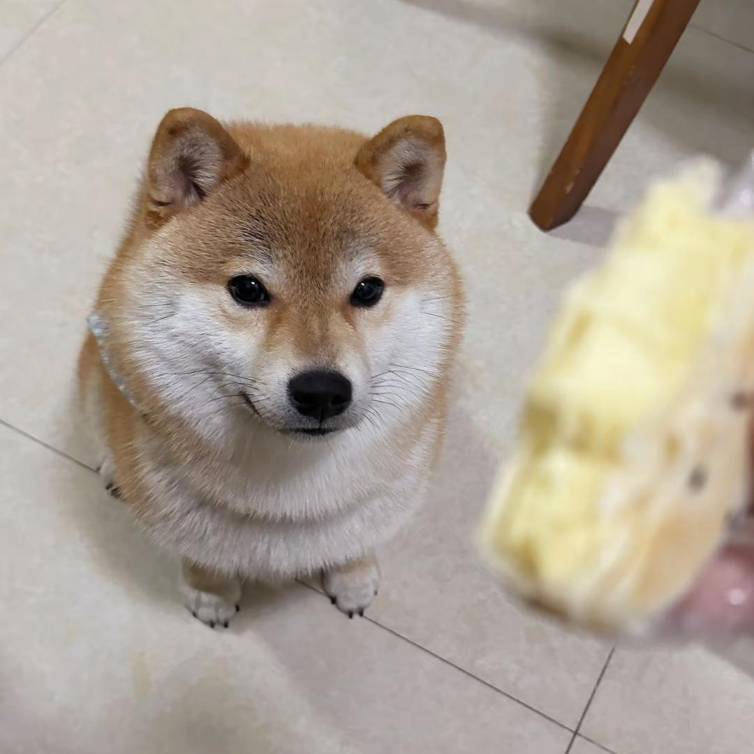 hi猛叽