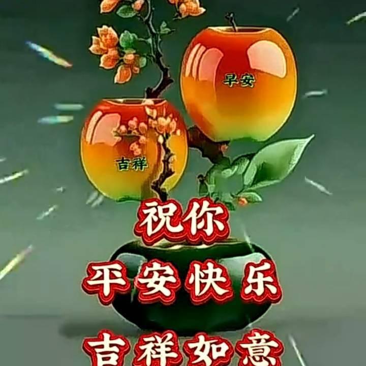 花开富贵🀄️