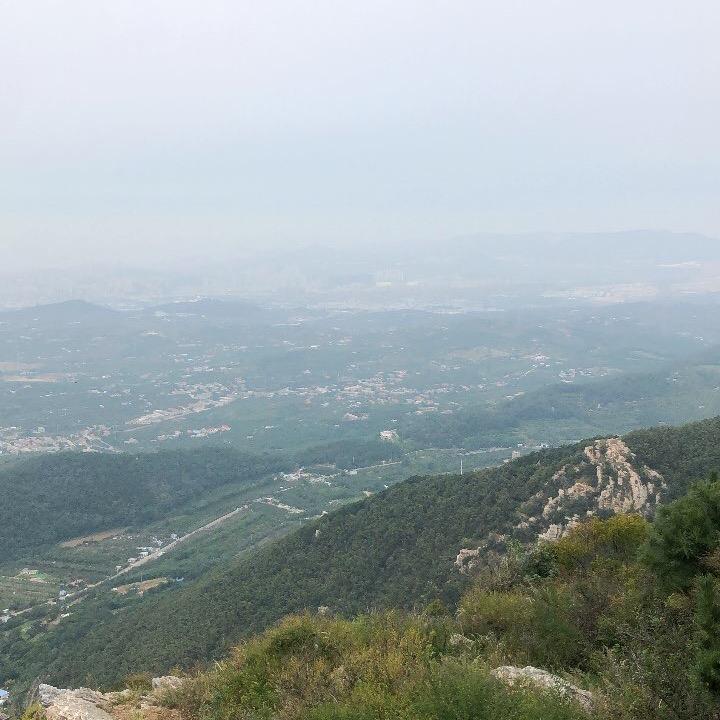 小金龙