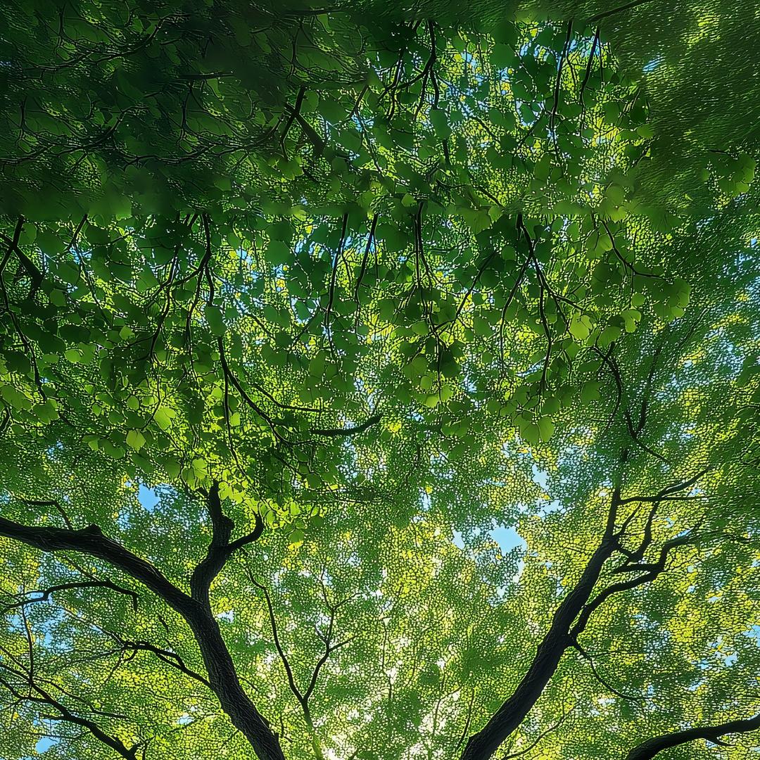 胶粘剂创业小白先锋