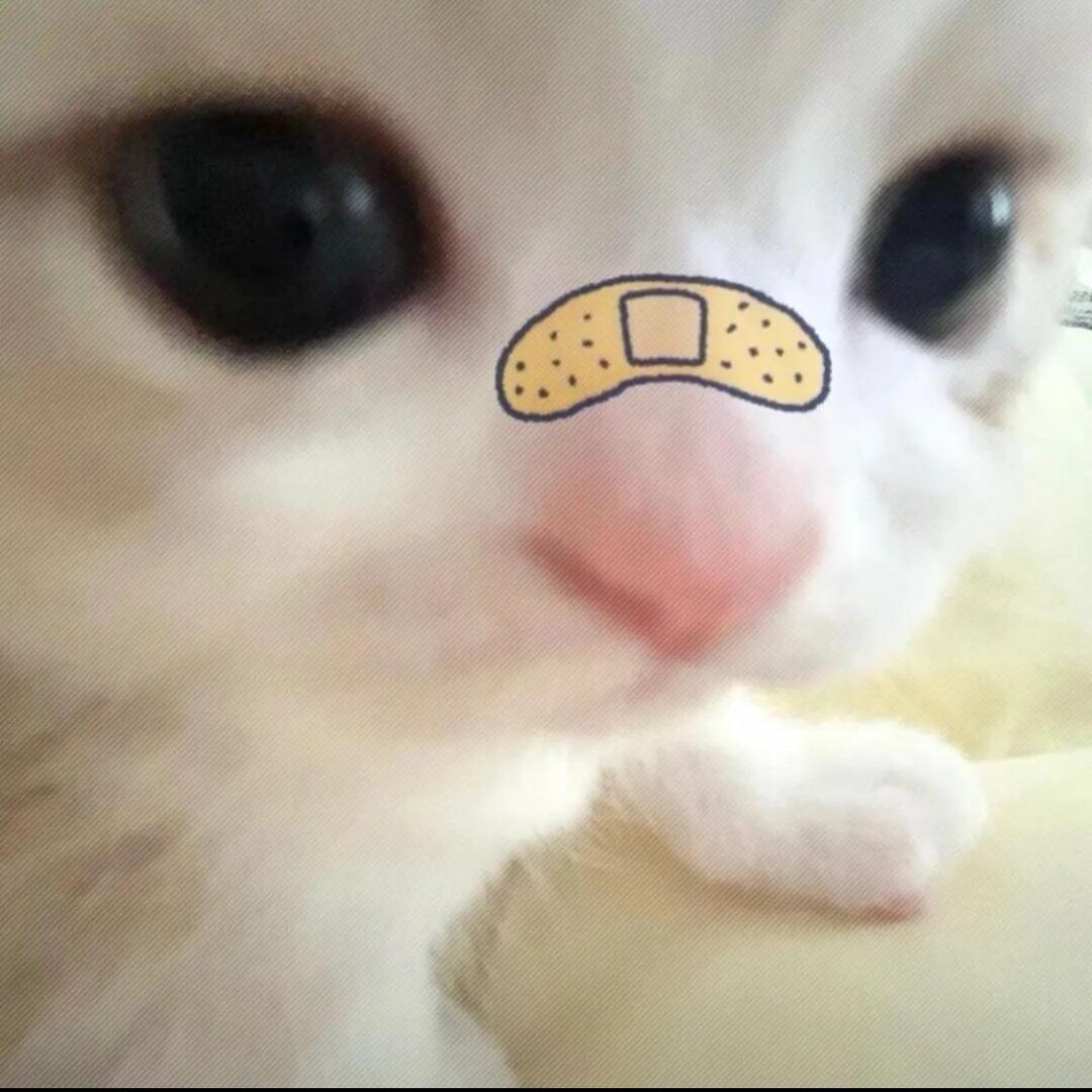 羊bangbang