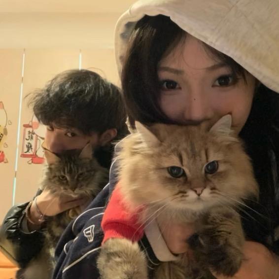 运气爆棚的土豆