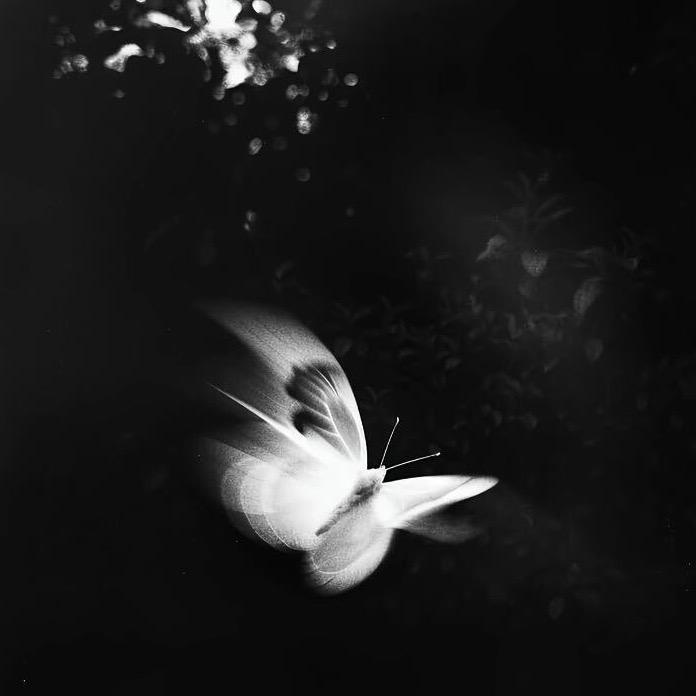 樂.