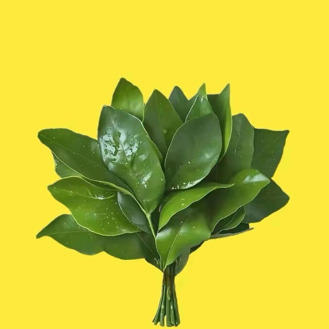 总会越走越远