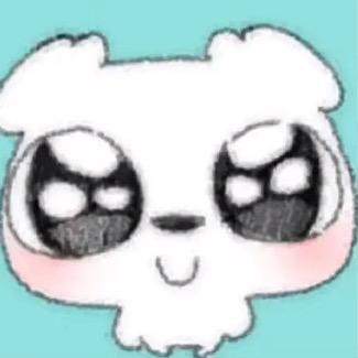 双面龟老大