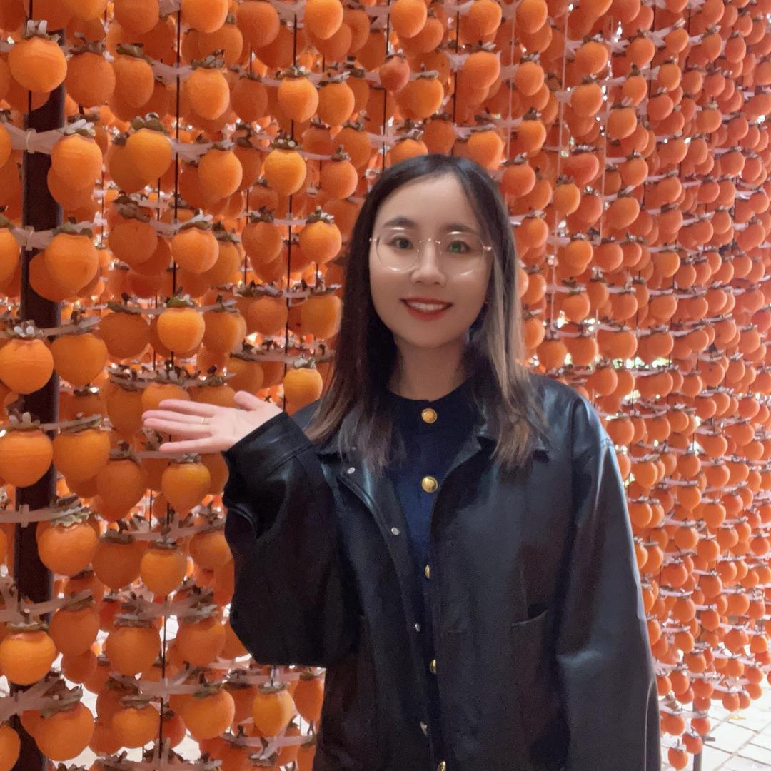 婷婷说柿